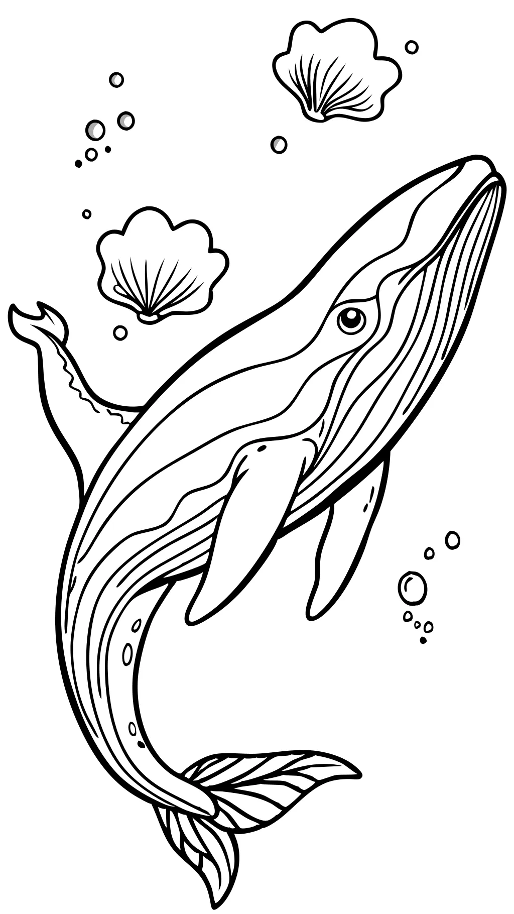 coloriage de baleine à bosse